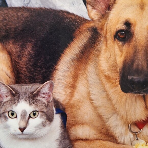 One of a kind custom made Kitty bowl complete with a name I cannot change. - Picture 3 of 3